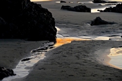 "Seashore" by Betty Bishop, photograph
