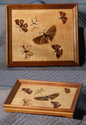 Tray with butterflies inlaid in quilted maple, mahogany surround, by Bruce Powell