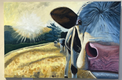 "Nosey Cow" by Debbie Kercmar