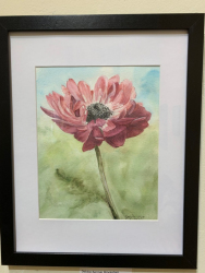 "Pink Poppy" by Debbie A. Kercmar, watercolor