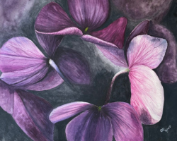 "Purple Hydrangeas" by Debbie Kercmar, watercolor