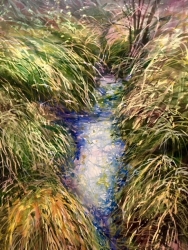 "Stream in Quincy", by James Johnson