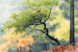 "Whimsical Oak Autumn Fog"  by Lucinda Wood