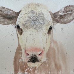 "Little Cow" by Debbie Kercmar, watercolor