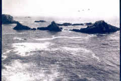 "Musings" by Barbara McCabe, cyanotype print