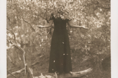 "O Hushed October" by Barbara McCabe, kallitype print