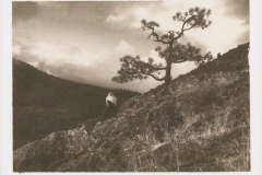 "Surrender" by Barbara McCabe, kallitype print