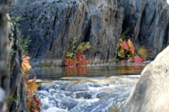 "Indian Creek" by Betty Bishop, photograph