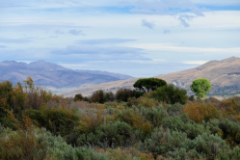 "Sagebrush Country" by Betty Bishop, photograph