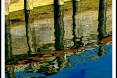 "Tree reflections" by Betty Bishop, photograph