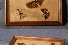 Tray with butterflies inlaid in quilted maple, mahogany surround, by Bruce Powell