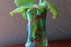 "Miniature glass jar- i inch tall", by Chris J Patyk