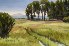 "Martin Field" by Deanna Osborne, oil