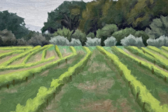 "The Vineyard" by Deanna Osborne, oil
