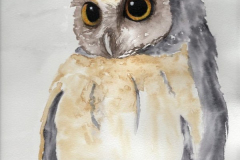 "Owl" by Debbie Kercmar Boyd, watercolor