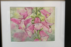 "Pink Foxglove" by Debbie A. Kercmar Boyd, watercolor