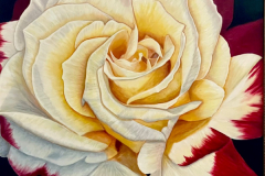 "Double Delight" by Debbie Kercmar Boyd, acrylic