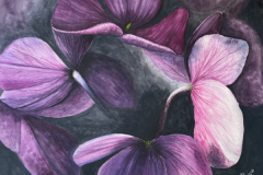 "Purple Hydrangeas" by Debbie Kercmar Boyd, watercolor