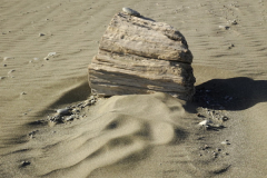 "Beach sculpture" by Fred Pierson, photograph