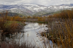 "Fall into winter" by Fred Pierson, photograph
