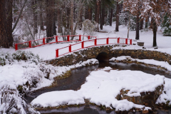 "Red bridge in winter" by Fred Pierson, photograph