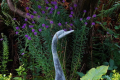 "Stone crane in foliage" by Fred Pierson, photograph