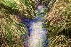 "Stream in Quincy", by James Johnson