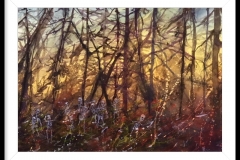 Chaos off Fire, by James Johnson