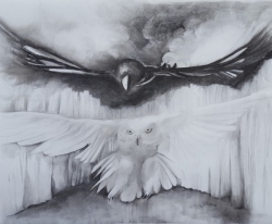Owl and Raven by Jane Y. Chang.  Charcoal