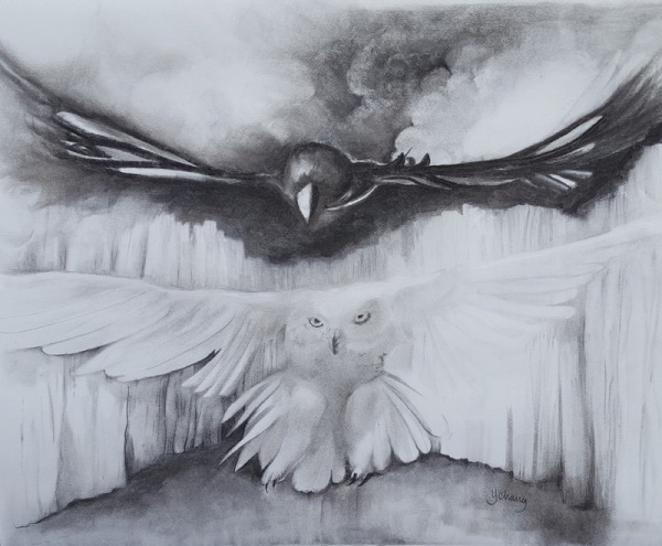 Owl and Raven by Jane Y. Chang.  Charcoal