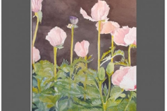 \"Poppies\" by Jane Chang, watercolor