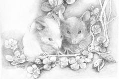 \"Sisters\" by Jane Chang, graphite