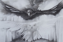 Owl and Raven by Jane Y. Chang.  Charcoal