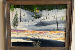 “Indian Creek: After the Fire” by John Sheehan