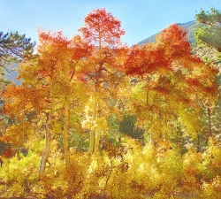 "Autumn Magee Creek" by Ken Casaday,  medium:photography