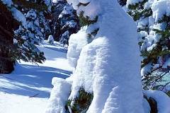 "Snow Monk" by Ken Casaday,  medium:photography