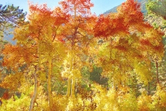 "Autumn Magee Creek" by Ken Casaday,  medium:photography