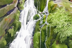 \"Maidenhair falls\" by Lucinda Wood, watercolor