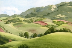 "Sonoma Spring"  by Lucinda Wood