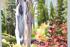 LW_FlamboyantFallMountainAsh