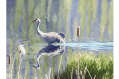 \"Sandhill Crane Wading\" by Lucinda Wood, watercolor
