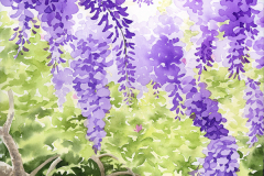 Gazing Through Wisteria, by Lucinda Wood, watercolor