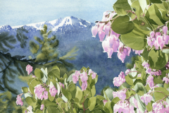 Winter and Spring Embrace, Claremont through Manzanita, by Lucinda Wood, watercolor