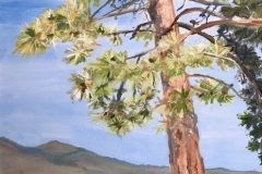 "Tree" by Lydia Dehn