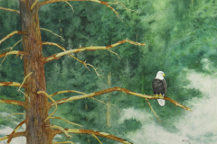 "Canyon watch" by Michael Kerby, watercolor