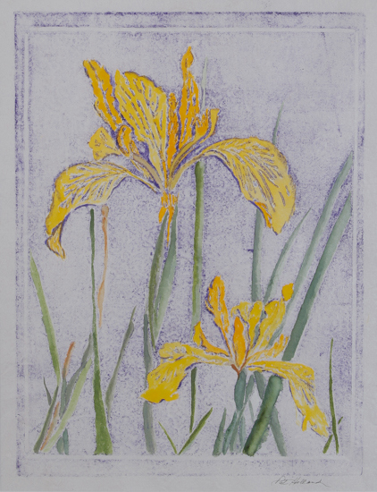 "Yellow Iris" by Pat Holland, collagraph and watercolor