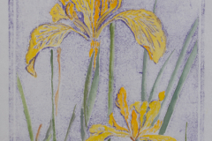 "Yellow Iris" by Pat Holland, collagraph and watercolor