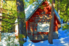 "Jamison mine cabin" by Richard Daun, photograph
