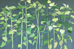 "Becoming Sunflowers" by Sally Yost