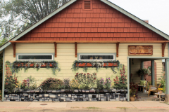 Averils Garden by Trixie Hollyhox, mural